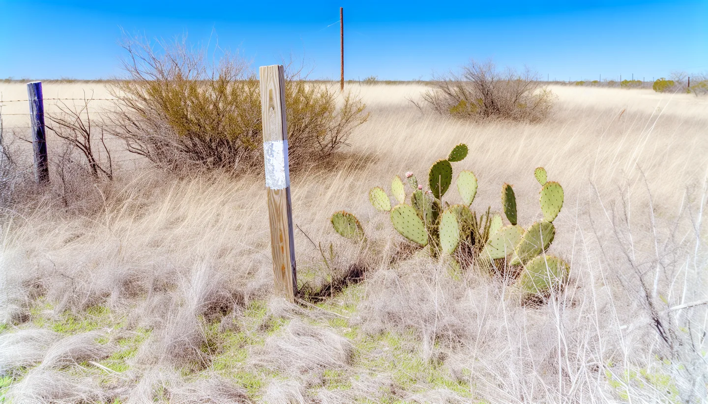 Overgrown inherited land parcel with boundary marker in Texas